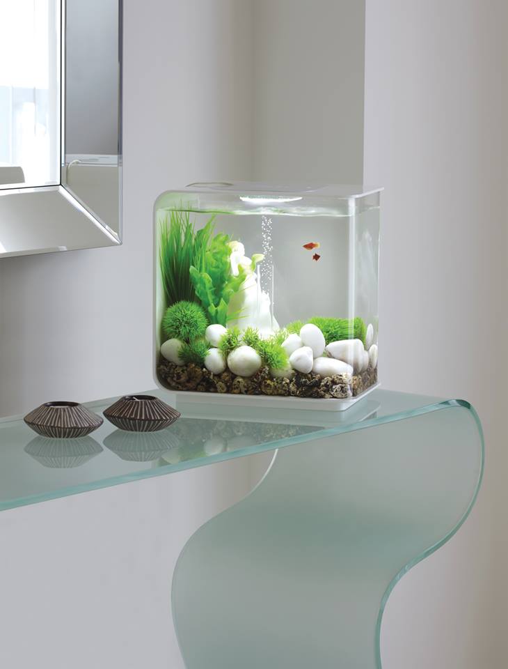 acrylic fish tank SHENZHEN HOTSUN (1).jpg