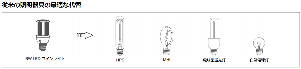 玉米灯的替代.png