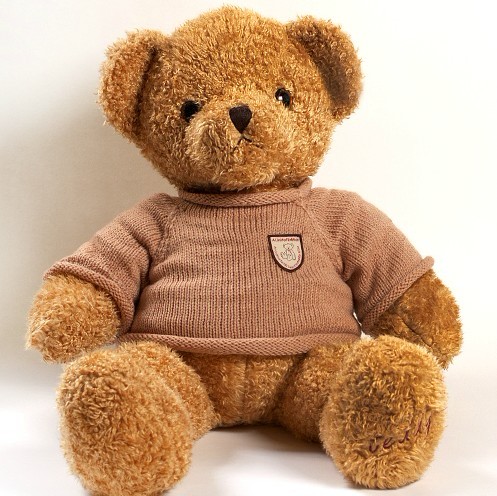 TB-1008 plush Teddy bear toys .jpg