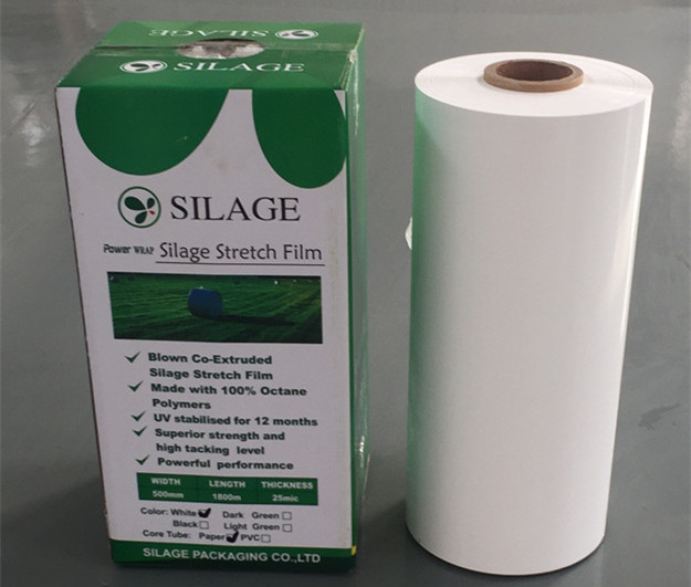 blown film with carton.jpg